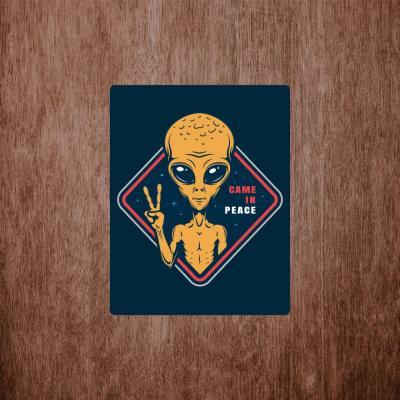 Placa Decorativa Came In Peace 180X230Mm